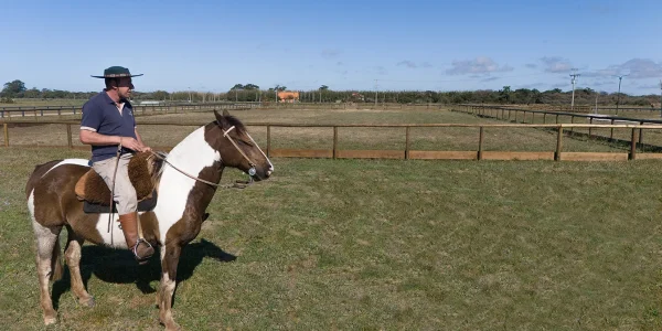 cavalo melhor