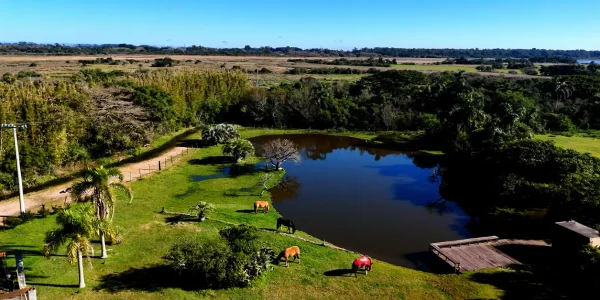 lago boa